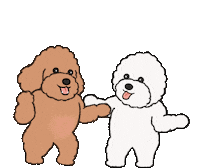 Poodle Bichon Sticker