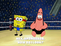 season 6 episode 13 GIF by SpongeBob SquarePants