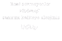 Dolar Kendinisev Sticker