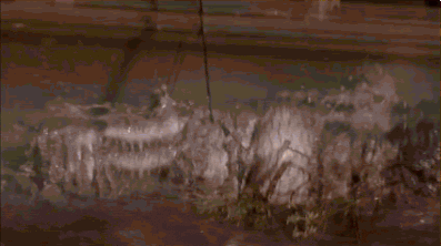 struggling troy landry GIF by Swamp People