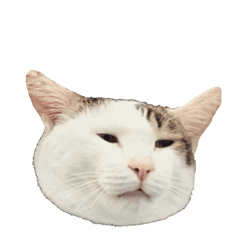 niuniulan cat mask lazy stayhome Sticker