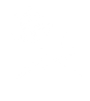 newlifechurchtv white flower woman flowers Sticker