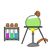 Sciencedunn Sticker by Yellow Mouse Studios