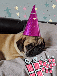 Pug Mops GIF