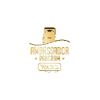 wahlaus  Sticker