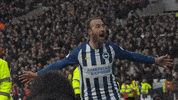 Soccer Futbol GIF by Brighton & Hove Albion Football Club