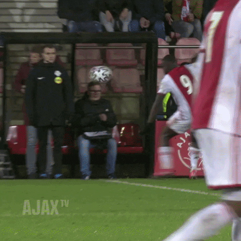 Jong Ajax Brobbeast GIF by AFC Ajax