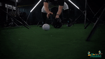 Tulane Rollwave GIF by GreenWave