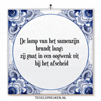 Moment Lamp GIF by Tegelspreuken.nl