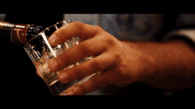 sleepingwithsirens beer cheers gossip whisky GIF