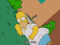homer simpson GIF