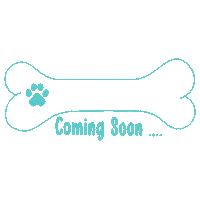 Comingsoon Sticker by pinsyork
