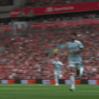 Celebration Goal GIF by AFC Bournemouth