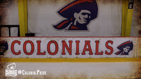 ice hockey fist bump GIF by Robert Morris University Athletics