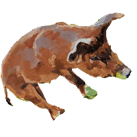 browndogfarmstudio art animals painting pig Sticker