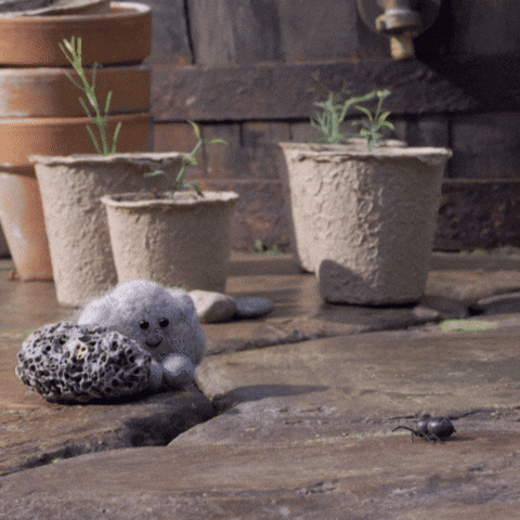 tweedyandfluff giphyupload love cute animation GIF