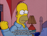 homer simpson night GIF