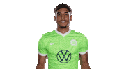 Swipe Up New One Sticker by VfL Wolfsburg