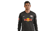 The Wall Goalkeeper Sticker by RB Leipzig