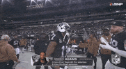 Las Vegas Raiders Football GIF by NFL