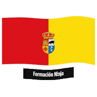Castilla-La Mancha Flag Sticker by Formación Ninja