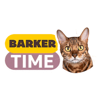 Cat Gatos Sticker by Barker