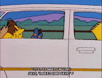 driving bart simpson GIF
