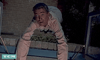 Alfred Hitchcock Movie GIF by Turner Classic Movies