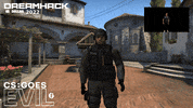 Counter-Strike Reaction GIF by Evil Geniuses