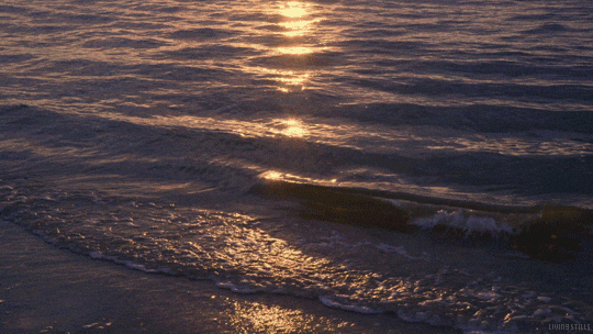 ocean sunset GIF by Living Stills