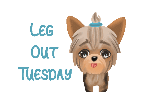 Shilotheyorkie Sticker