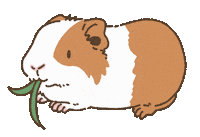 Licht Eating Sticker