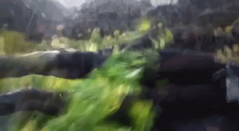 imaLegarda giphygifmaker GIF