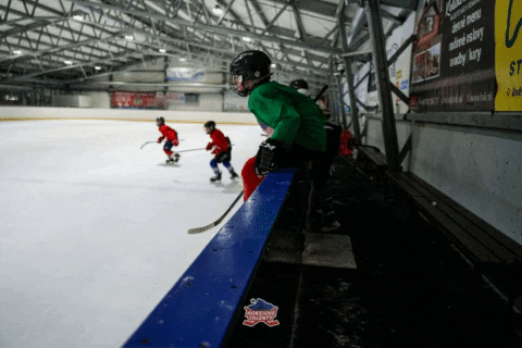 DraciLM giphygifmaker hockey hokejovetalenty GIF