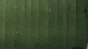 ja yolo GIF by funk