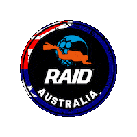Raid Sticker by DiveRAID