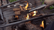 season 5 bbq GIF by Portlandia