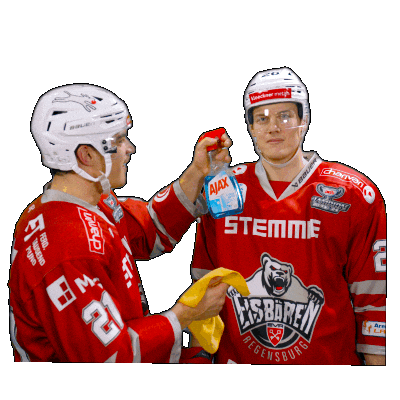 Hockey Del2 Sticker by Eisbären Regensburg