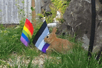 Rainbow Kiss GIF by AceArchive