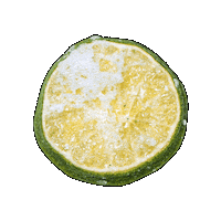 citreve citreve citrevelimeslicesaltandsugar limeslicesaltandsugar Sticker