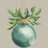 Ecuador Christmas Decorations GIF