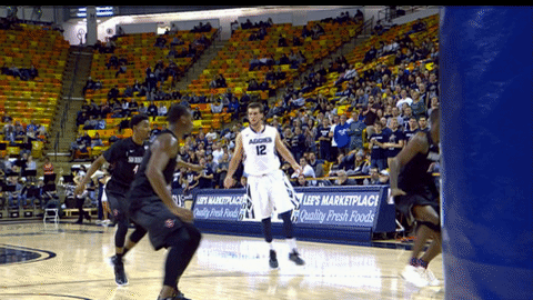 utah state GIF by USUAthletics