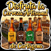 Disfruta GIF by CERVECERIA CARTAGENA