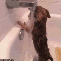 hangover GIF
