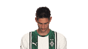 Look Up Borussia Moenchengladbach Sticker by Bundesliga