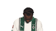 Look Up Borussia Moenchengladbach Sticker by Bundesliga