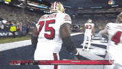 Regular Season Football GIF by NFL