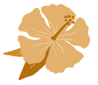 Hawaii Paradise Sticker by dolkii