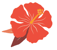 Flower Hawaii Sticker by dolkii