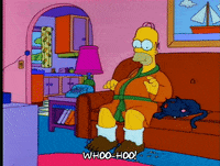 homer simpson episode 3 GIF